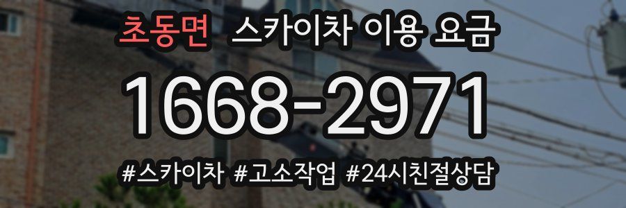 초동면 스카이차 이용 요금