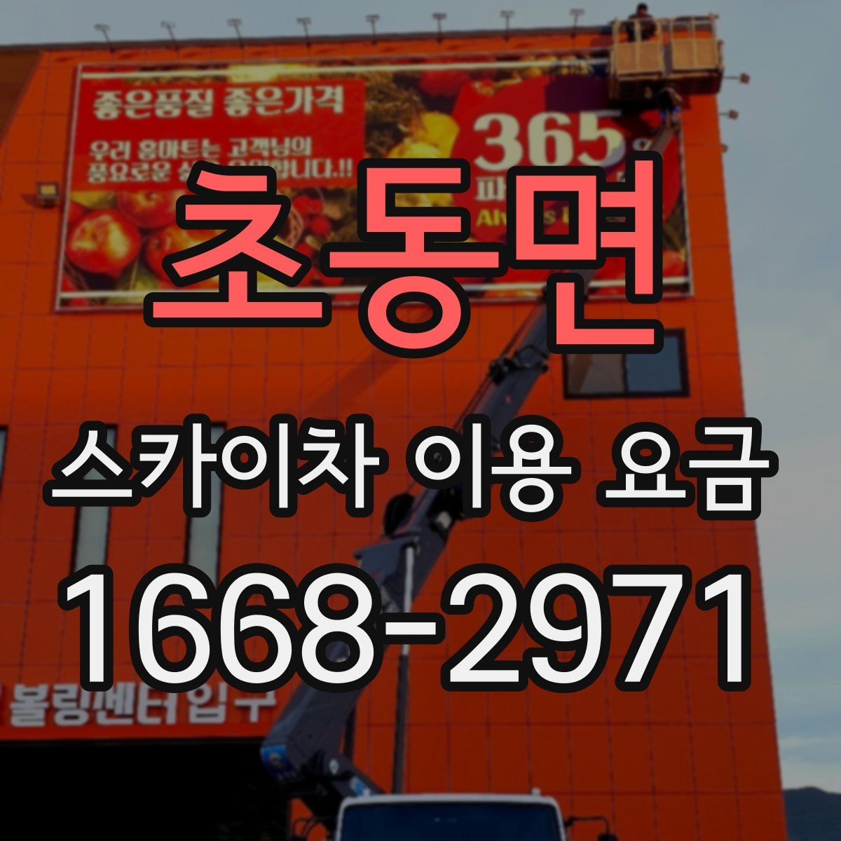 초동면 스카이차 이용 요금