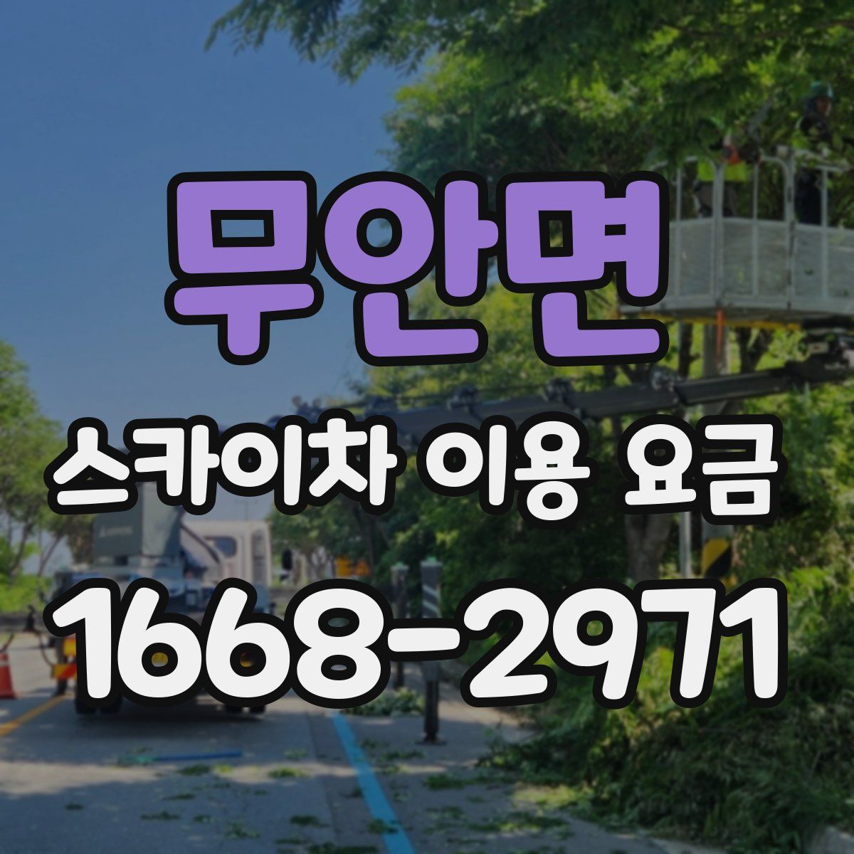 무안면 스카이차 이용 요금