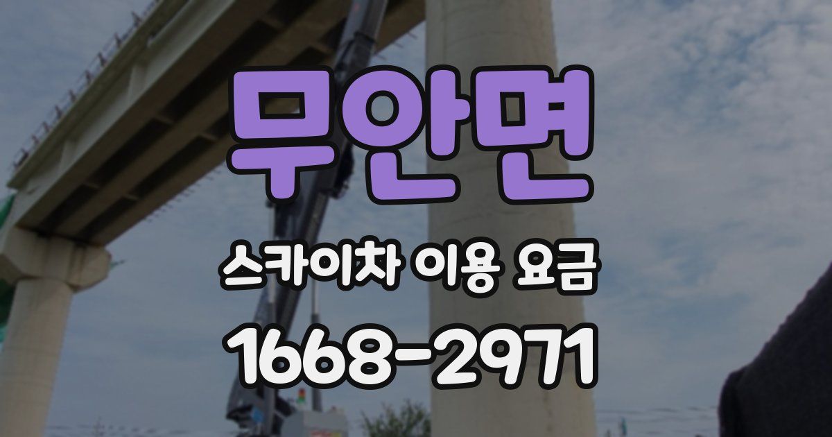무안면 스카이차 이용 요금