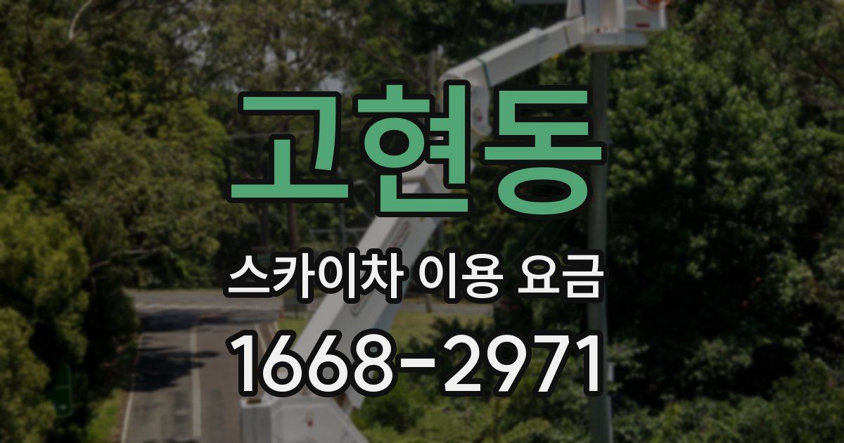 고현동 스카이차 이용 요금