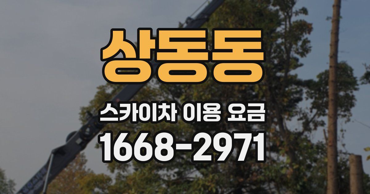 상동동 스카이차 이용 요금