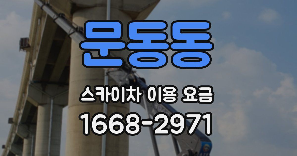 문동동 스카이차 이용 요금