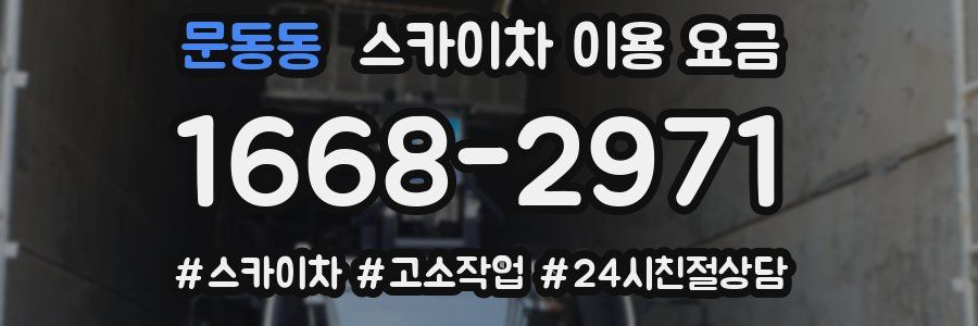 문동동 스카이차 이용 요금