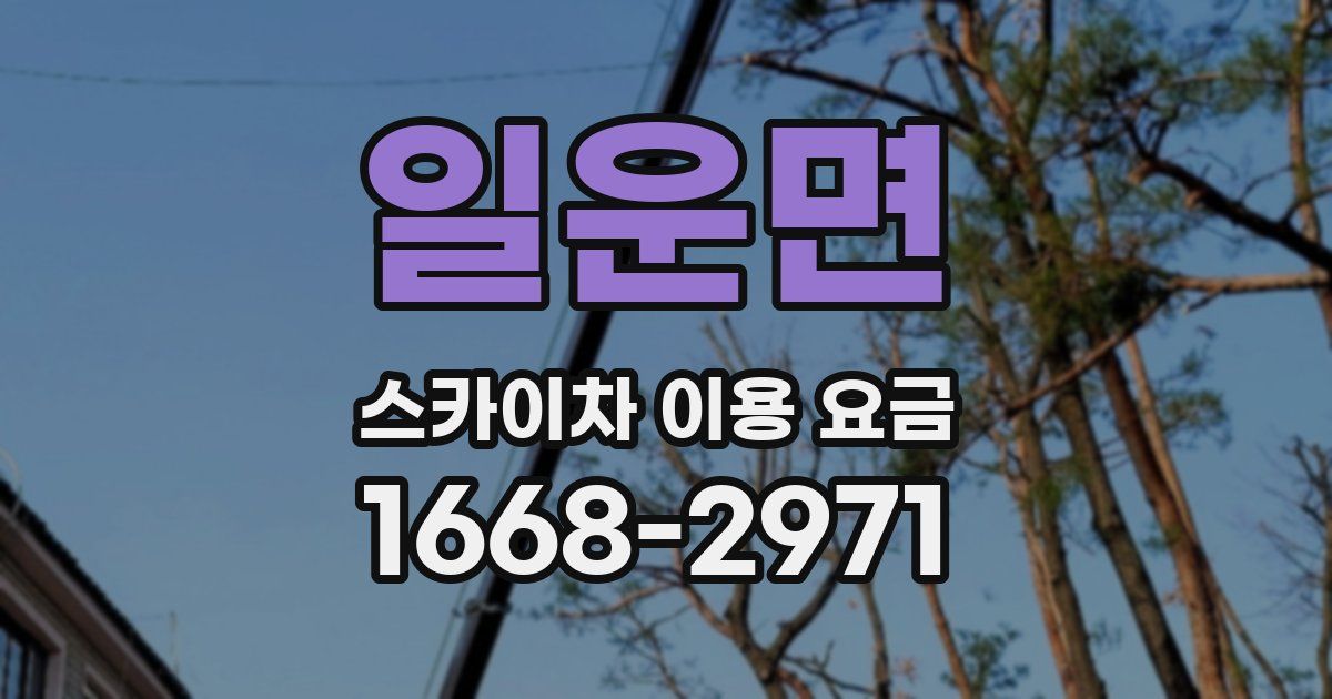 일운면 스카이차 이용 요금