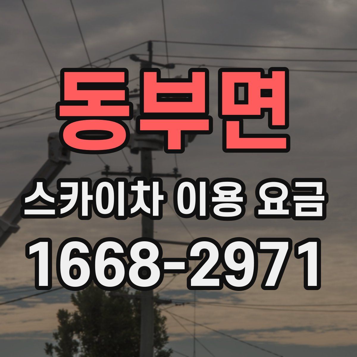 동부면 스카이차 이용 요금