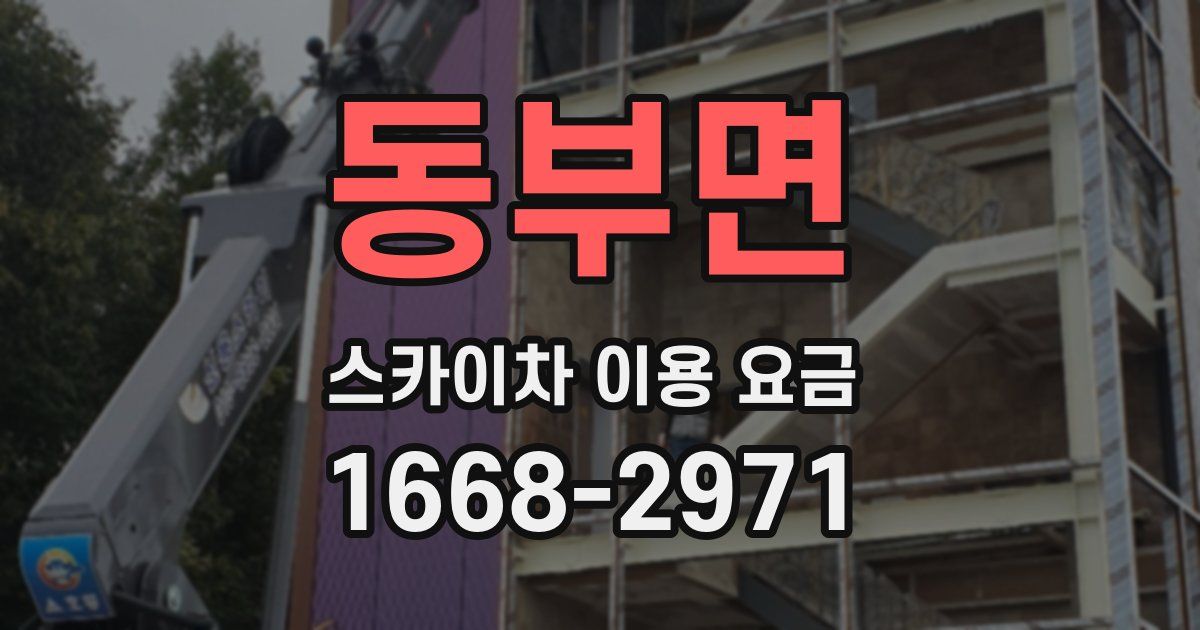 동부면 스카이차 이용 요금