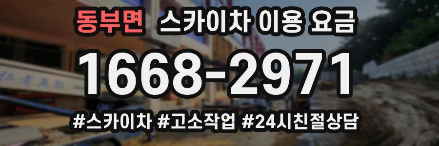동부면 스카이차 이용 요금