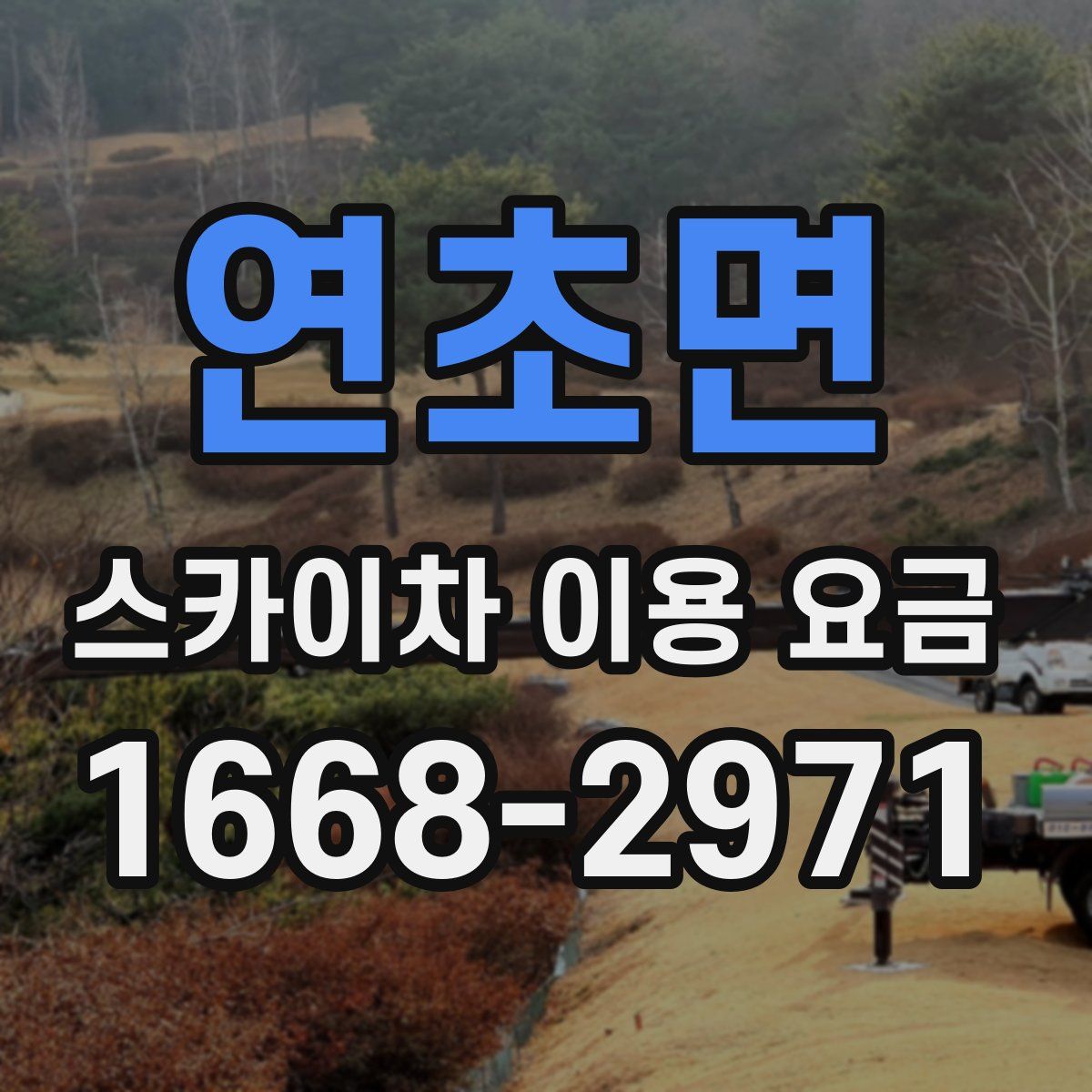 연초면 스카이차 이용 요금
