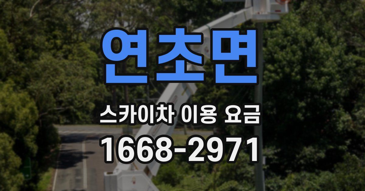 연초면 스카이차 이용 요금