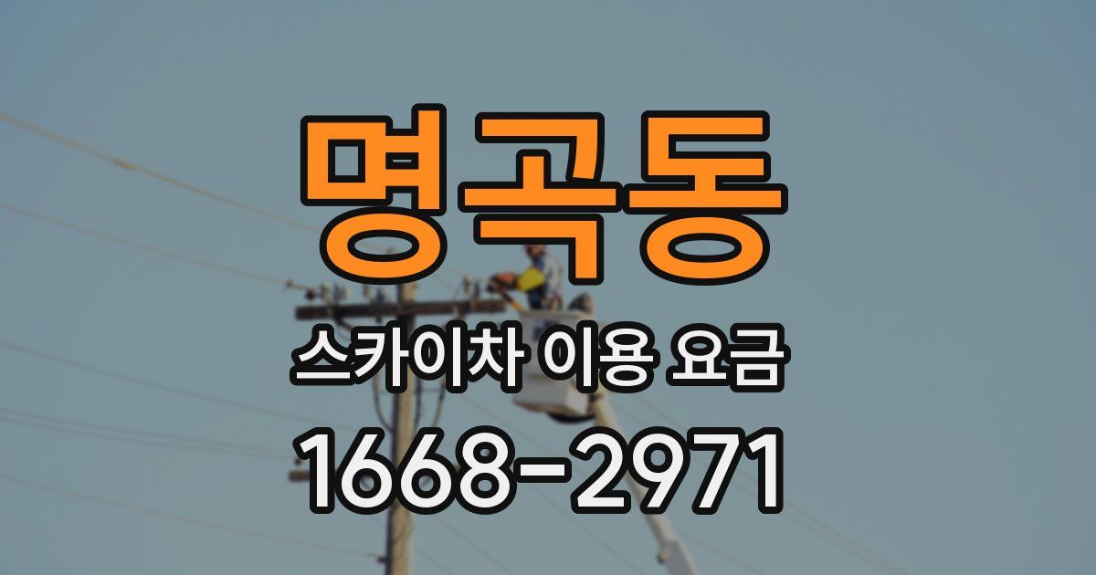 명곡동 스카이차 이용 요금