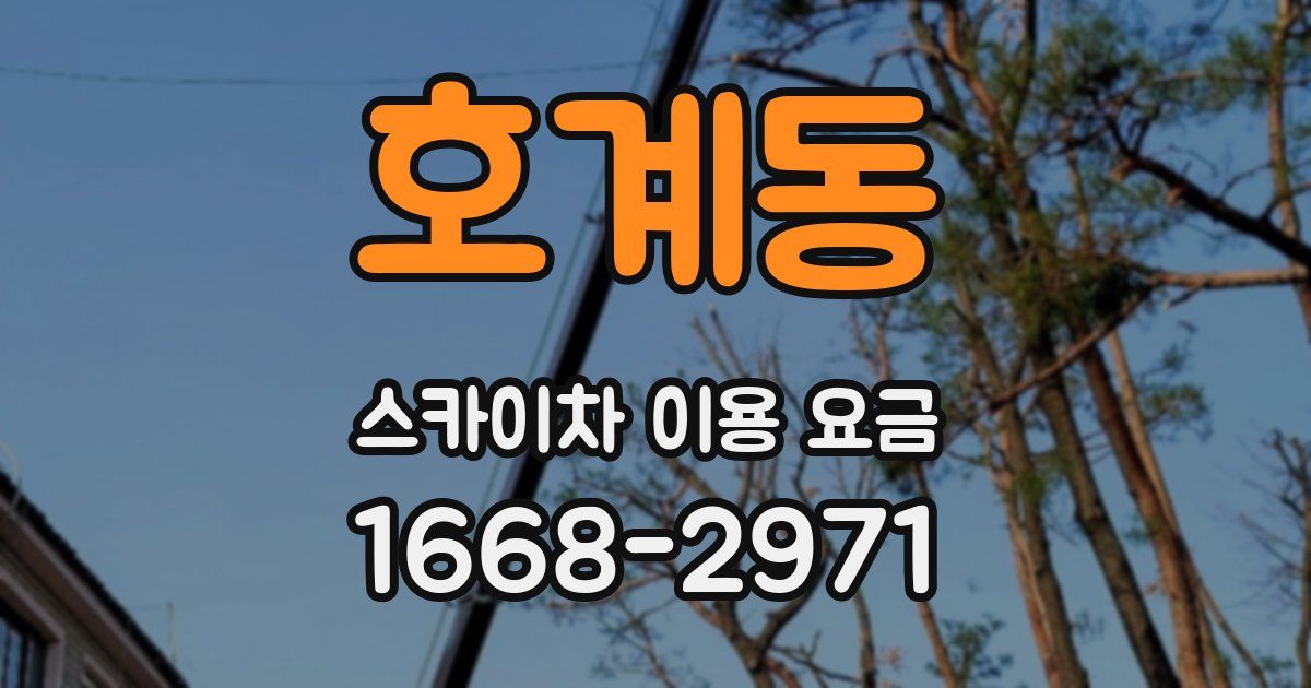 호계동 스카이차 이용 요금