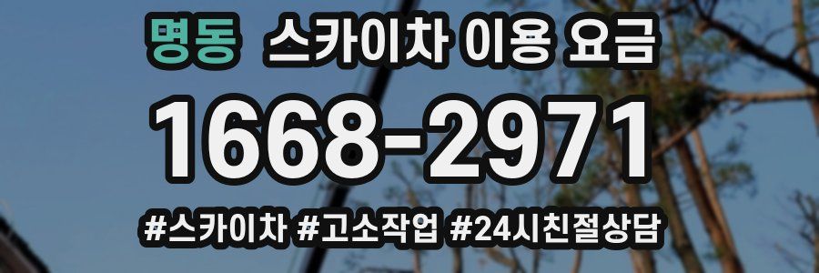 명동 스카이차 이용 요금