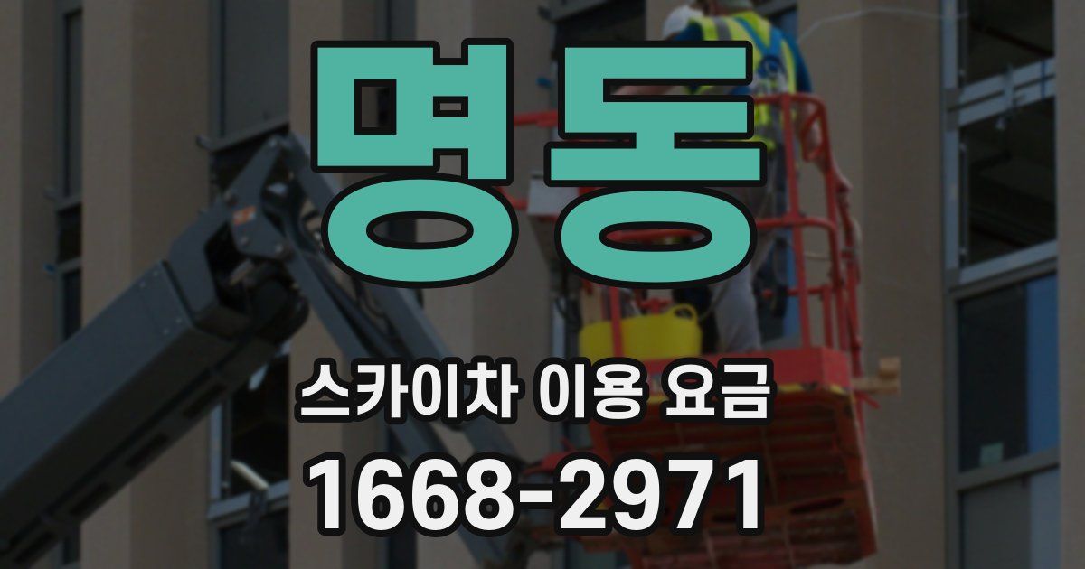 명동 스카이차 이용 요금