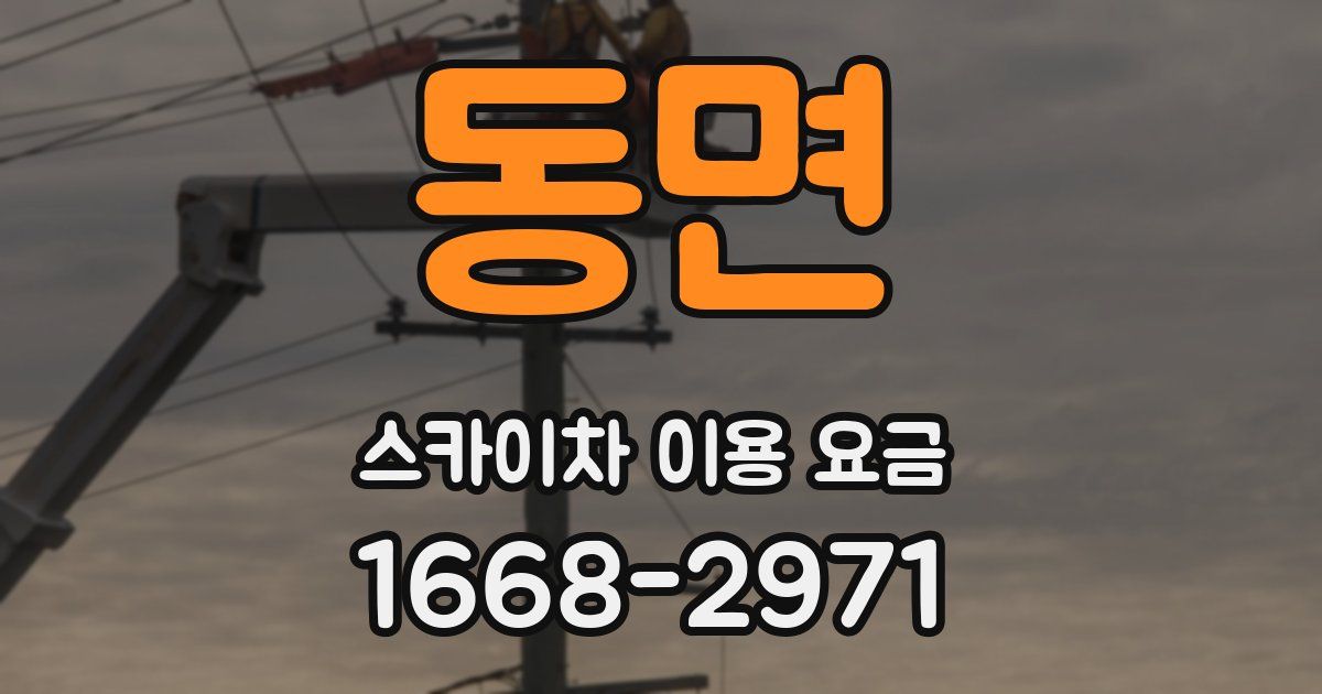 동면 스카이차 이용 요금