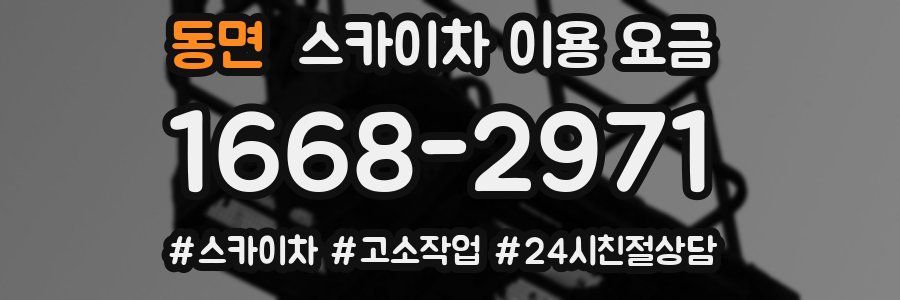 동면 스카이차 이용 요금