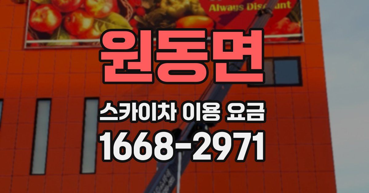원동면 스카이차 이용 요금