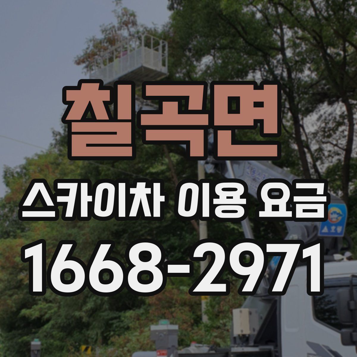 칠곡면 스카이차 이용 요금