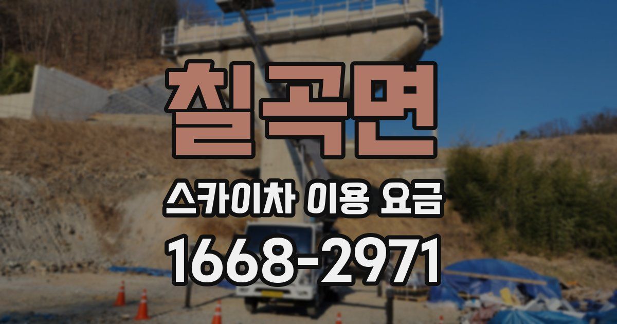 칠곡면 스카이차 이용 요금