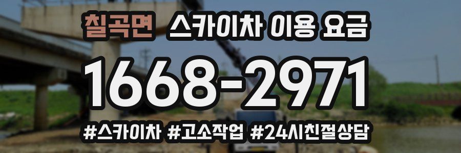 칠곡면 스카이차 이용 요금