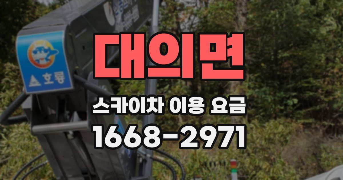 대의면 스카이차 이용 요금