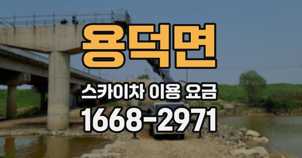 용덕면 스카이차 이용 요금