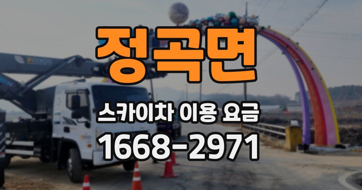 정곡면 스카이차 이용 요금