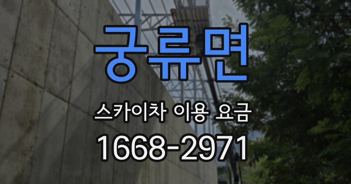 궁류면 스카이차 이용 요금