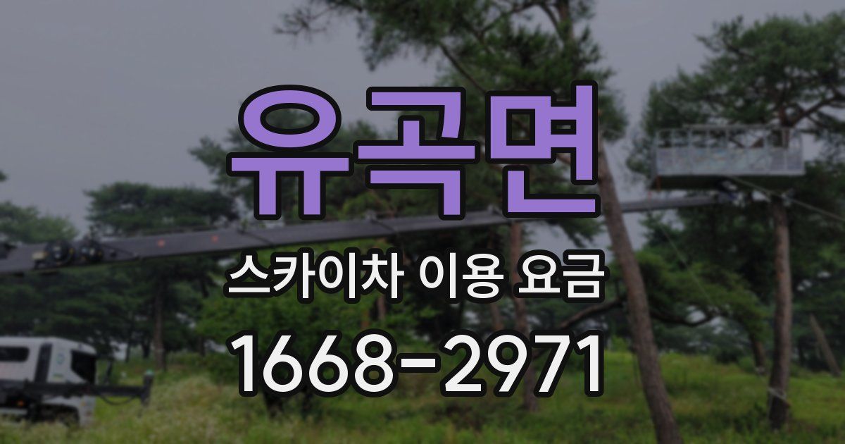 유곡면 스카이차 이용 요금