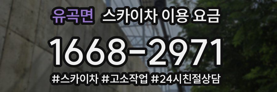 유곡면 스카이차 이용 요금