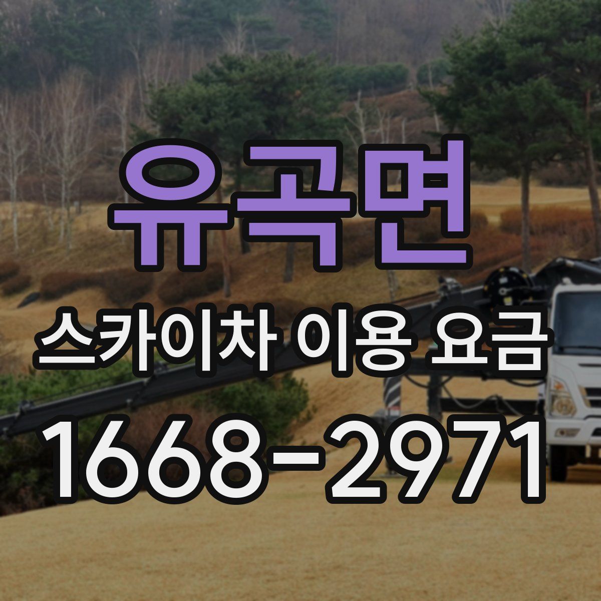 유곡면 스카이차 이용 요금