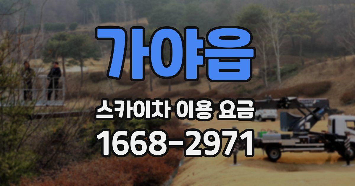 가야읍 스카이차 이용 요금