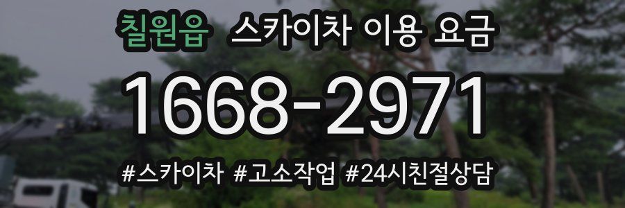 칠원읍 스카이차 이용 요금