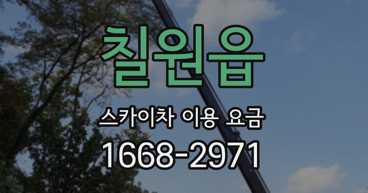 칠원읍 스카이차 이용 요금