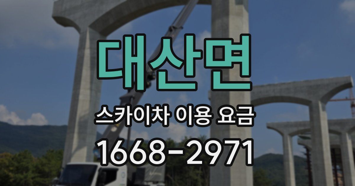 대산면 스카이차 이용 요금