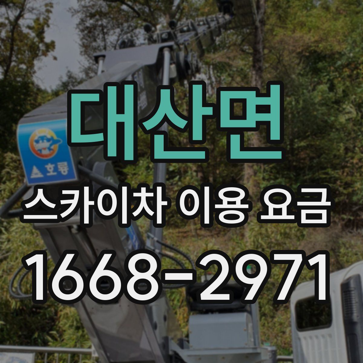 대산면 스카이차 이용 요금