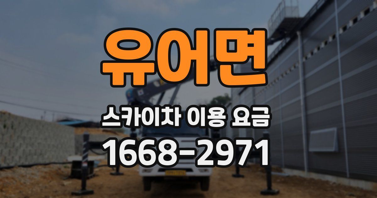 유어면 스카이차 이용 요금