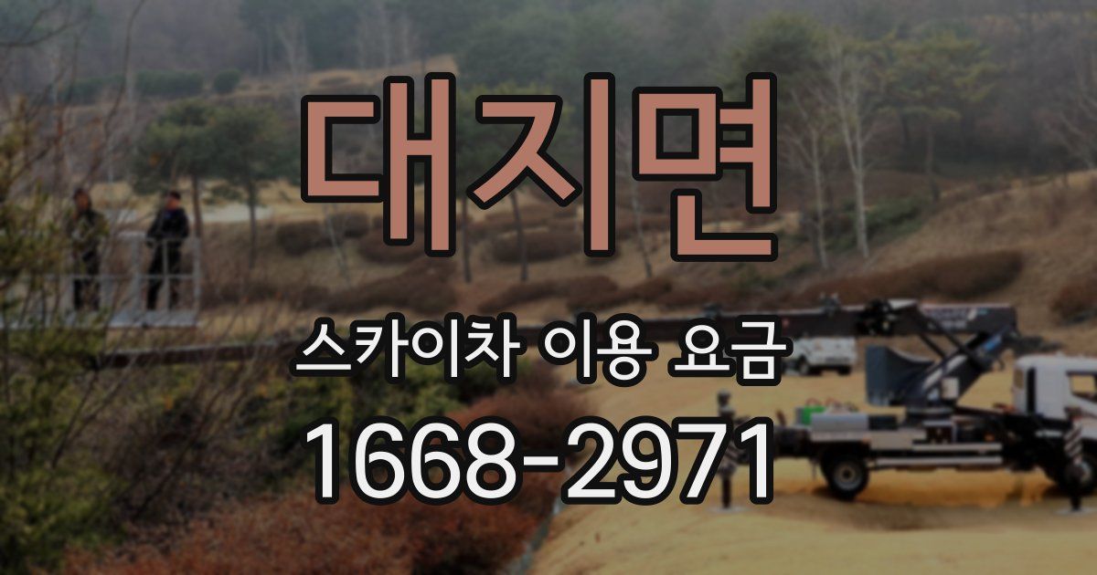 대지면 스카이차 이용 요금