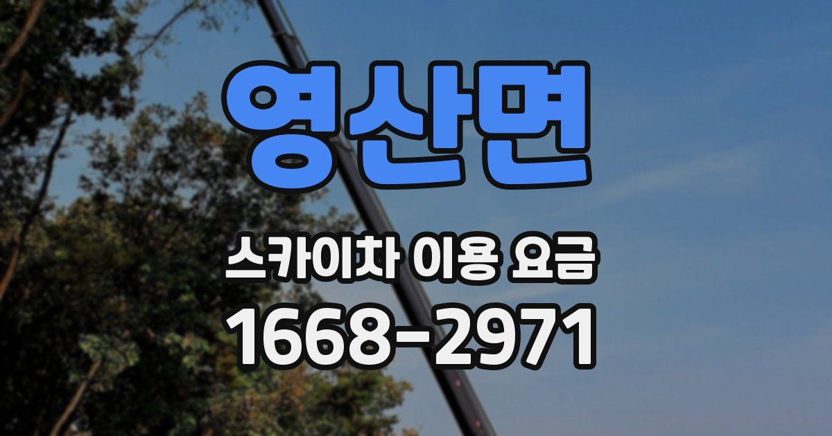 영산면 스카이차 이용 요금