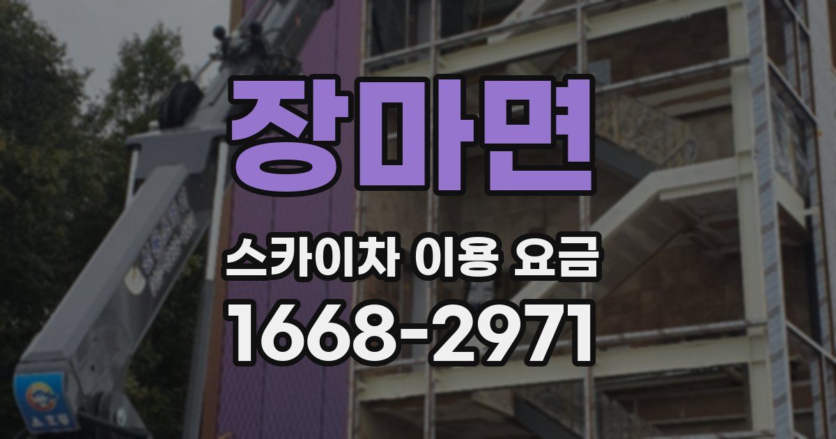 장마면 스카이차 이용 요금