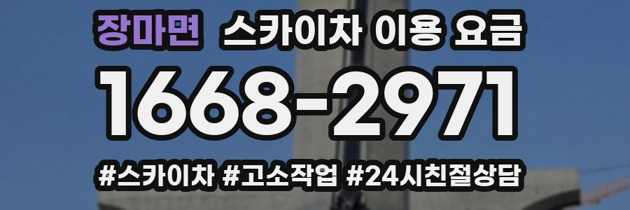 장마면 스카이차 이용 요금