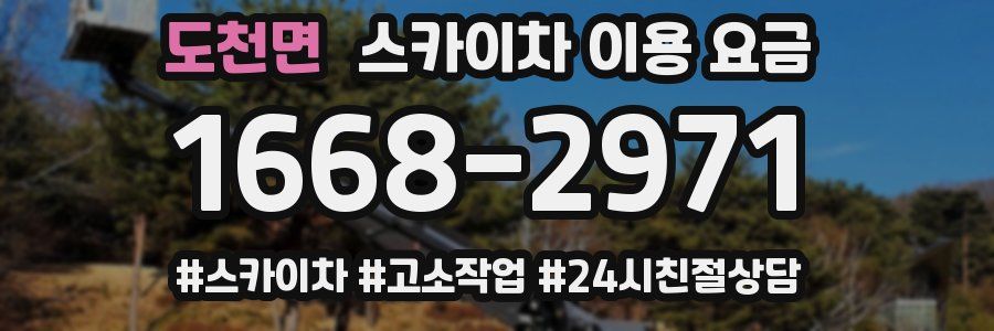 도천면 스카이차 이용 요금