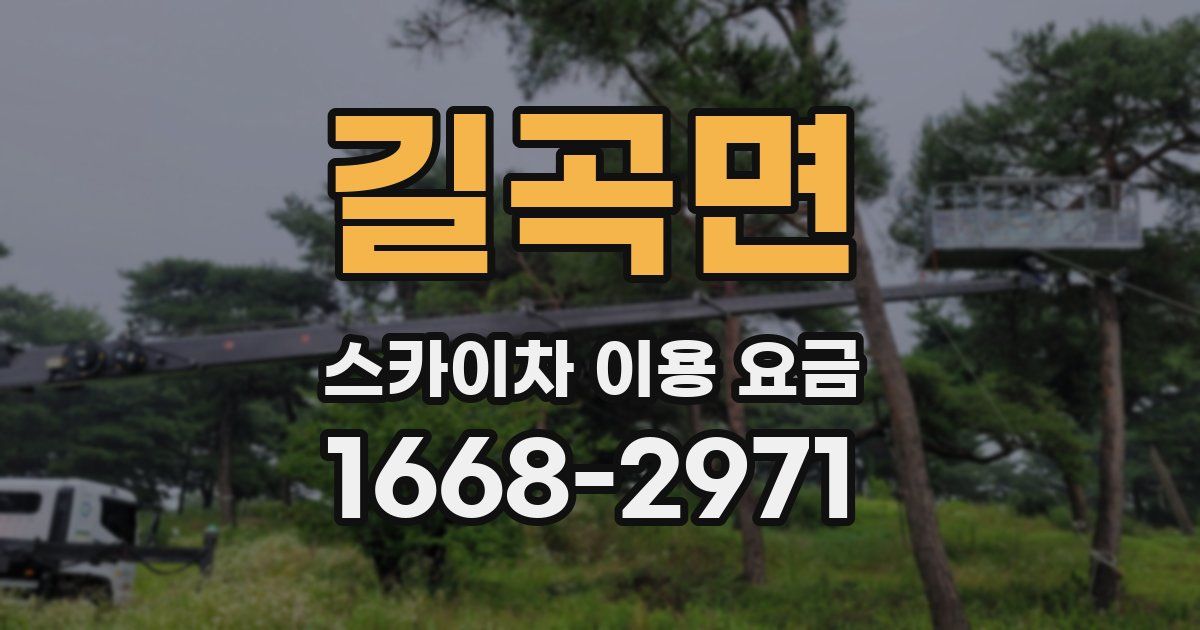 길곡면 스카이차 이용 요금