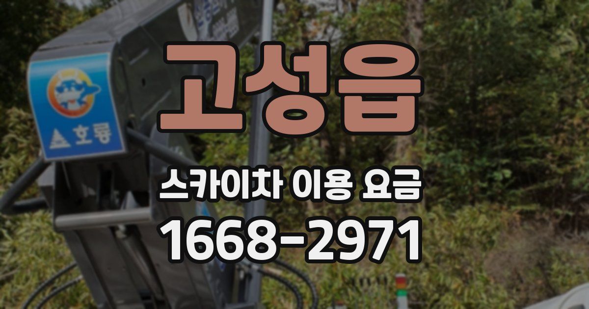 고성읍 스카이차 이용 요금