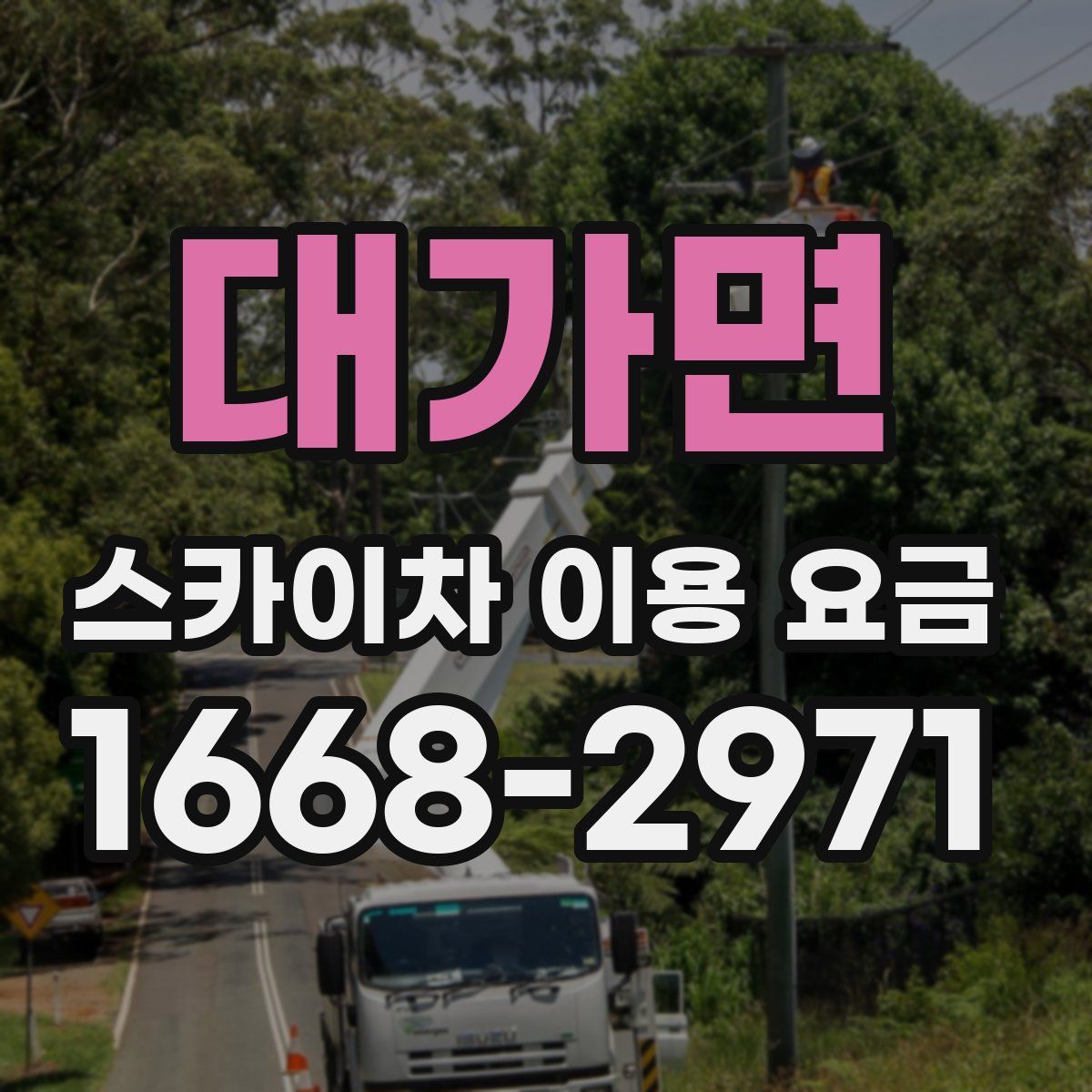 대가면 스카이차 이용 요금