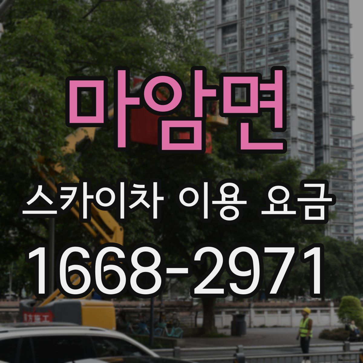 마암면 스카이차 이용 요금