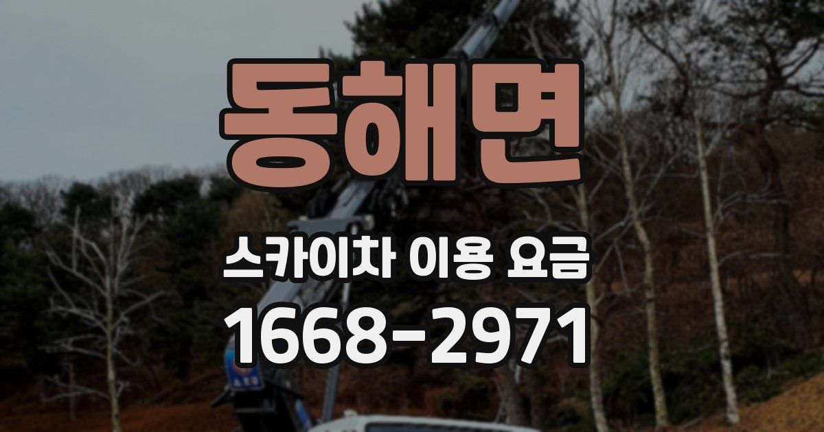 동해면 스카이차 이용 요금