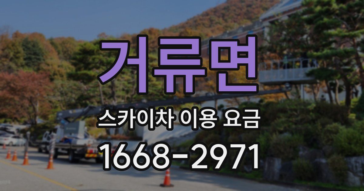 거류면 스카이차 이용 요금