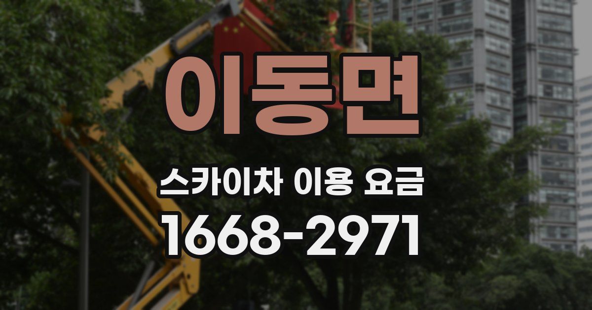 이동면 스카이차 이용 요금