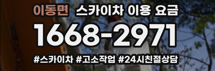이동면 스카이차 이용 요금